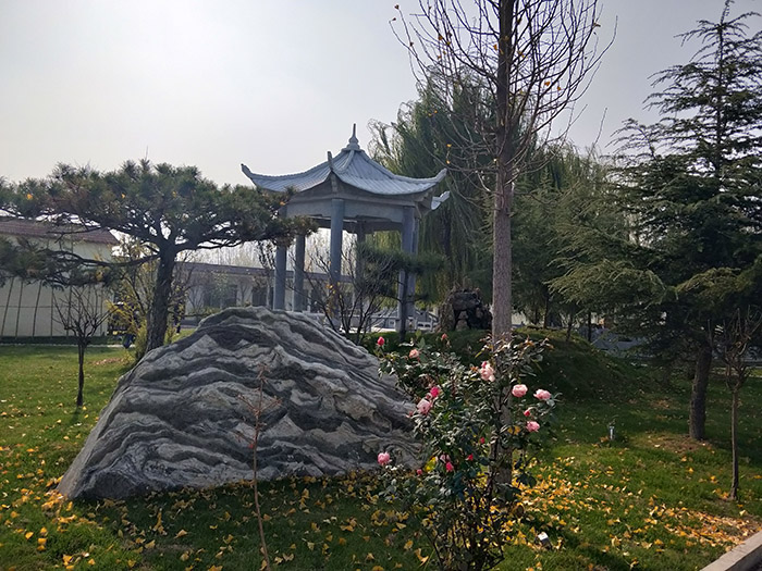 公司展示