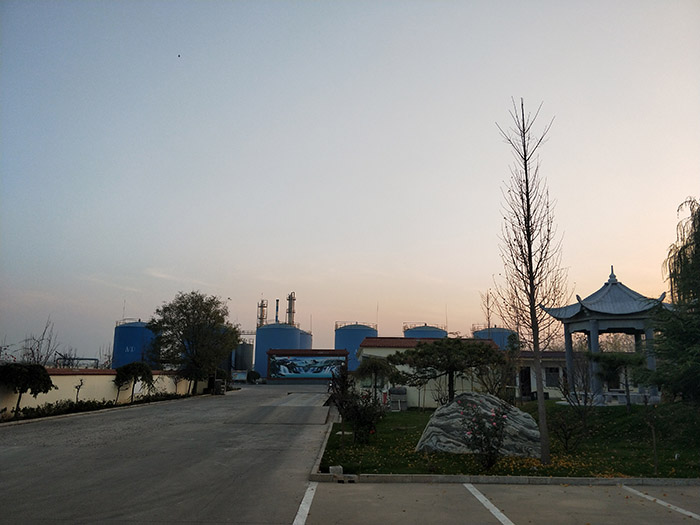 公司展示
