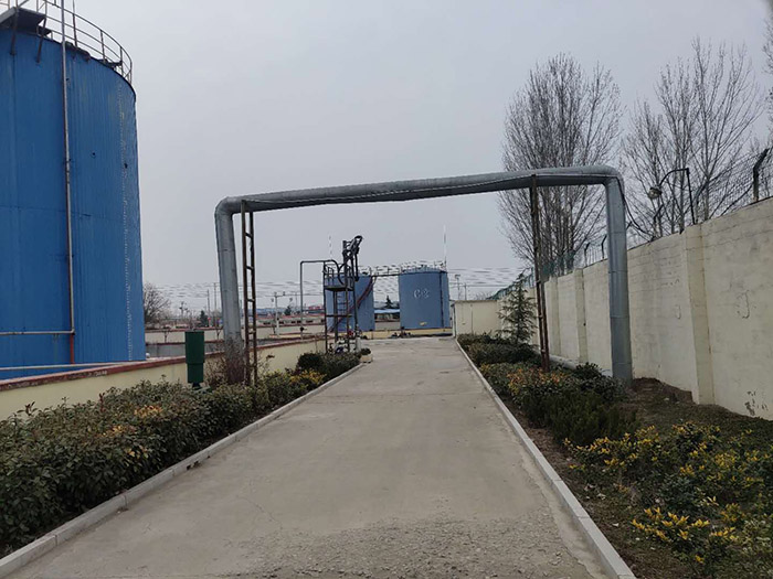 公司展示